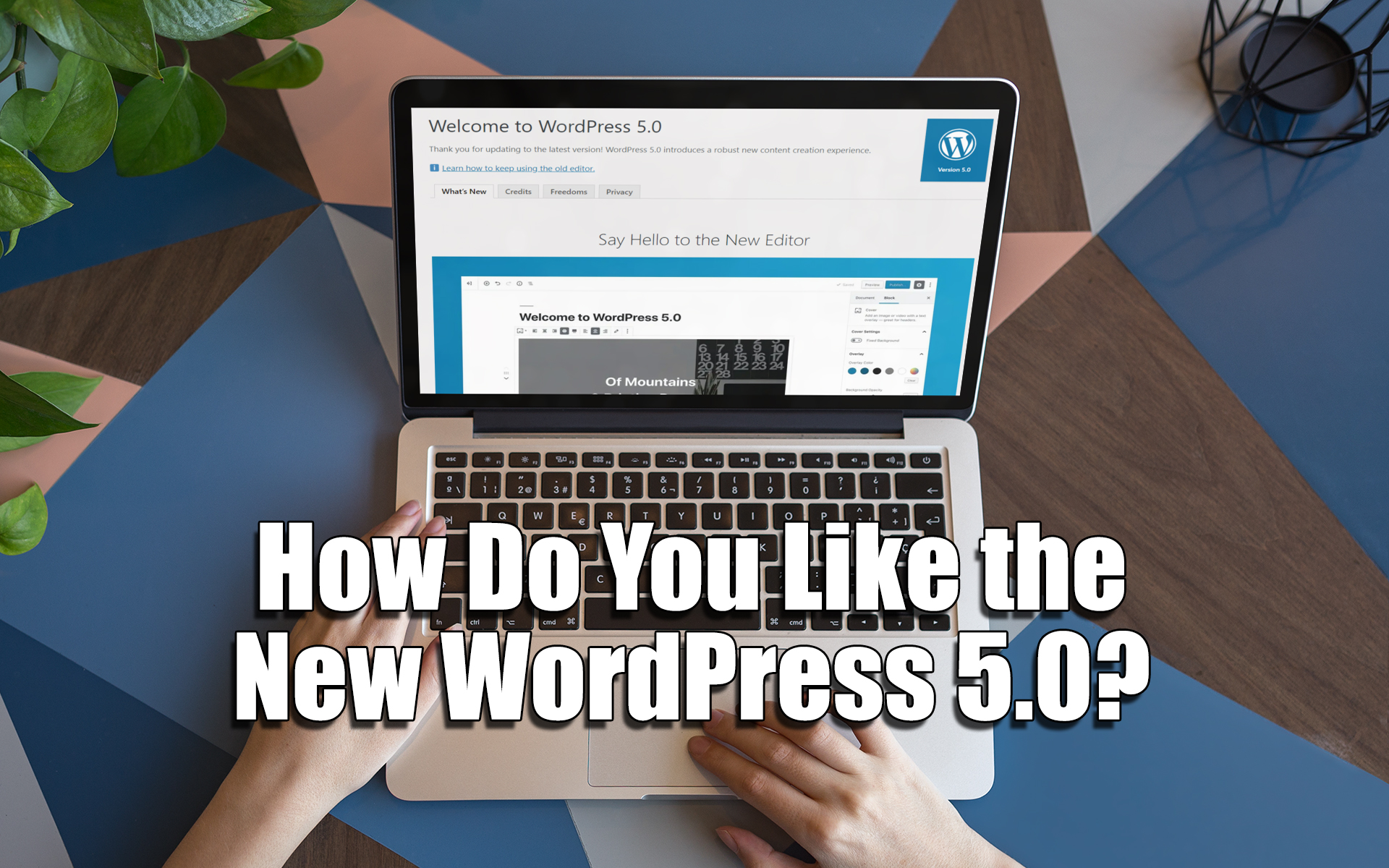 How Do You Like the New WordPress 5.0?