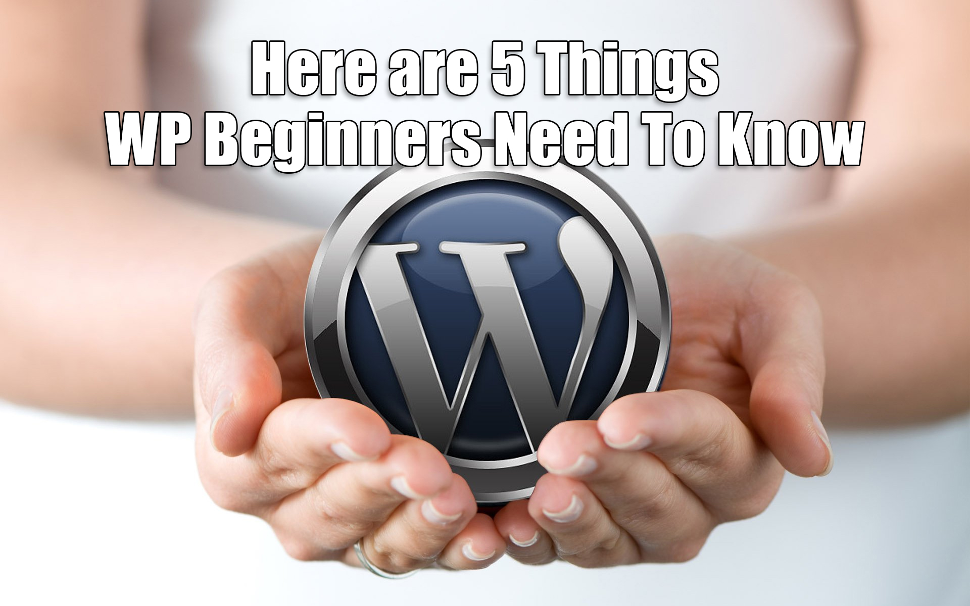 Here are 5 Things WP Beginners Need To Know