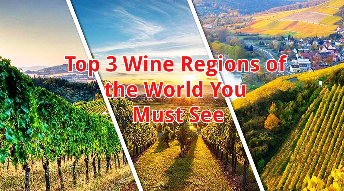 Top 3 Wine Regions of the World You Must See