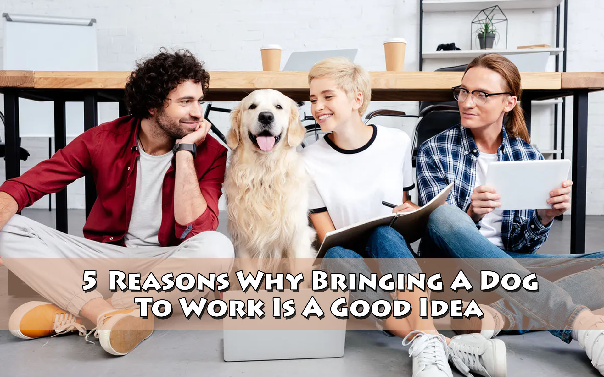 5 Reasons Why Bringing A Dog To Work Is A Good Idea