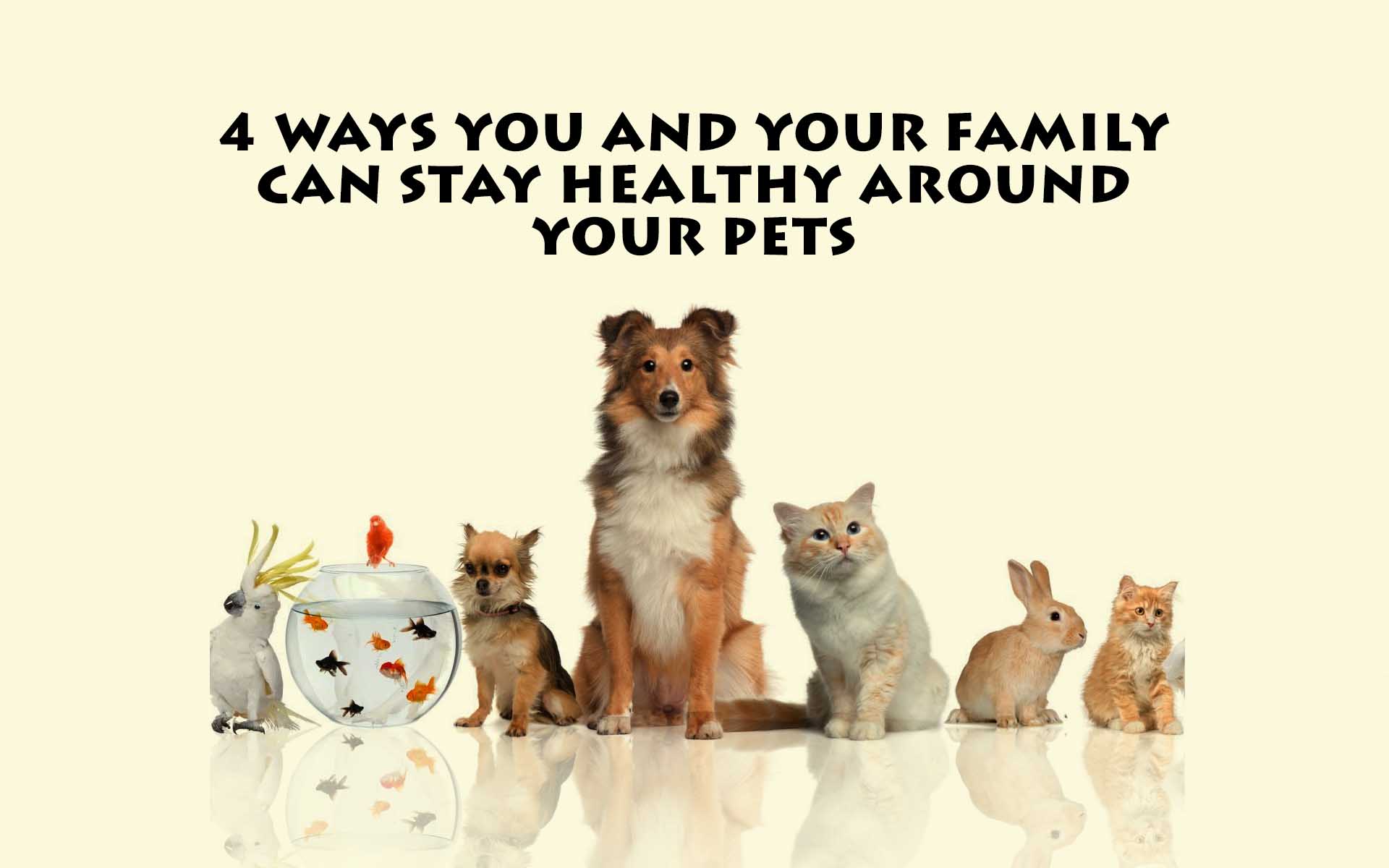 4 Ways You and Your Family Can Stay Healthy Around Your Pets