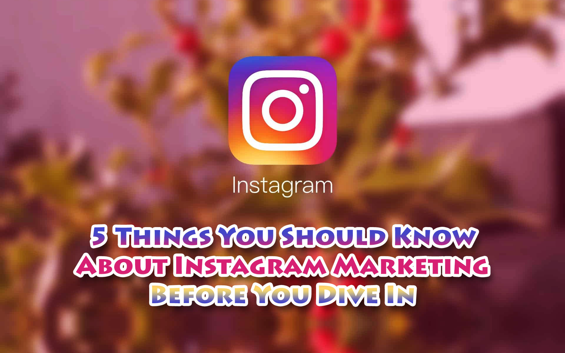 5 Things You Should Know About Instagram Marketing Before You Dive In