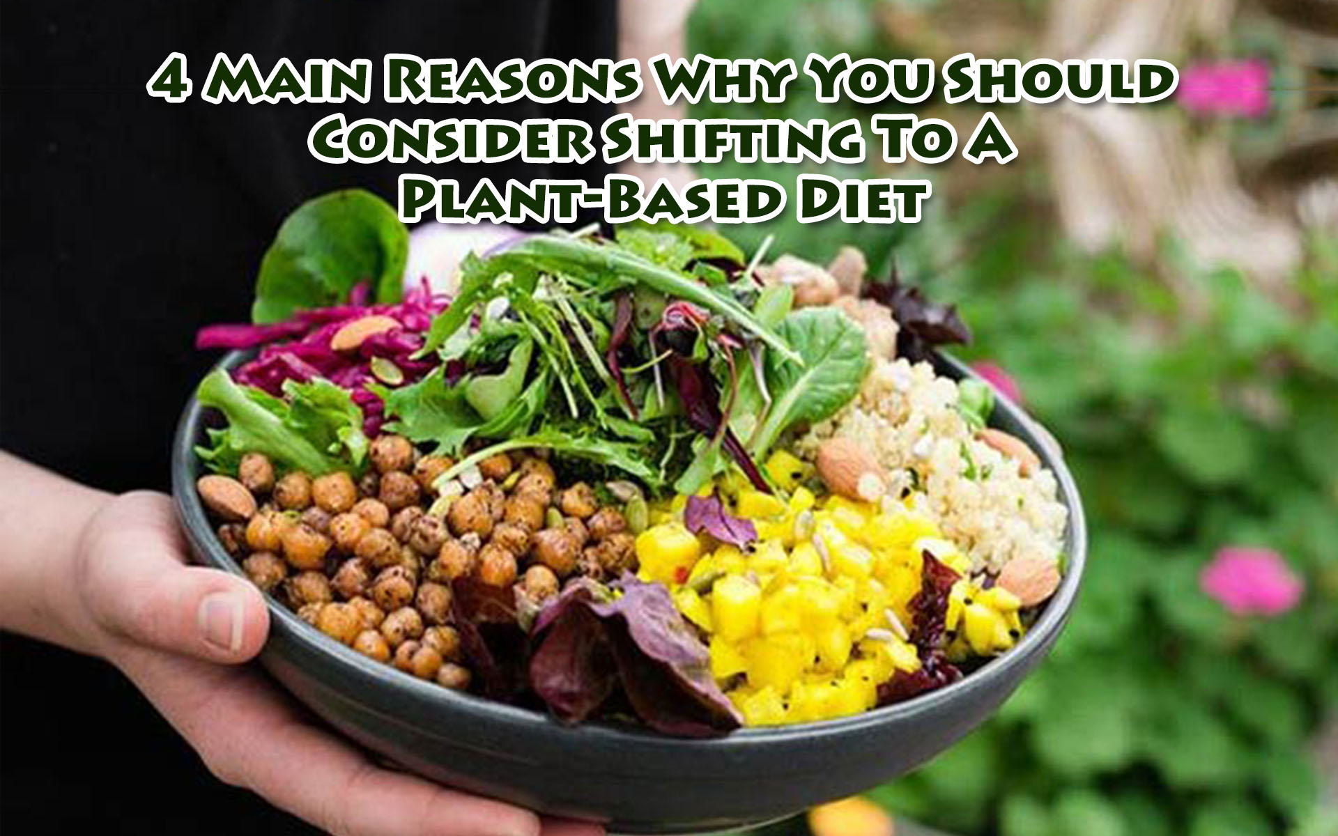 4 Main Reasons Why You Should Consider Shifting To A Plant-Based Diet