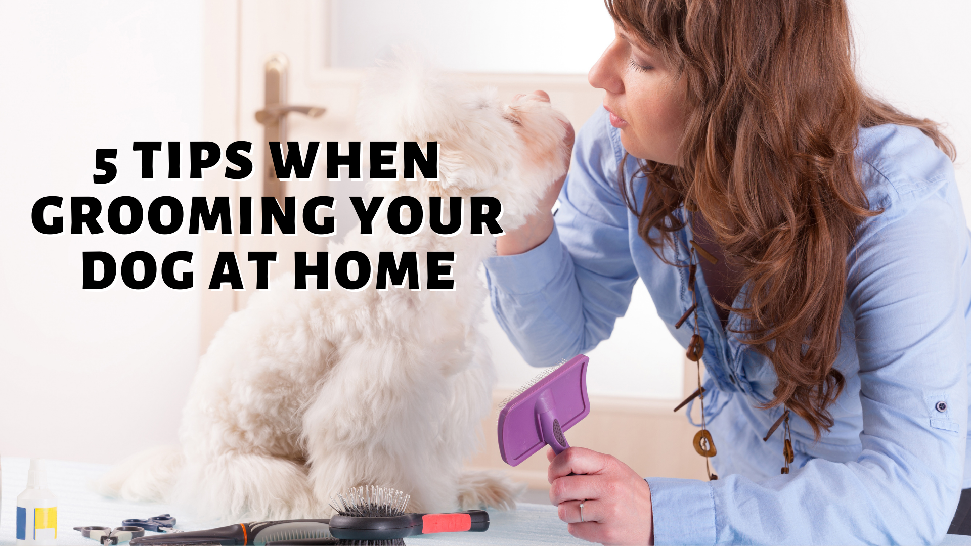 5 Tips When Grooming Your Dog At Home