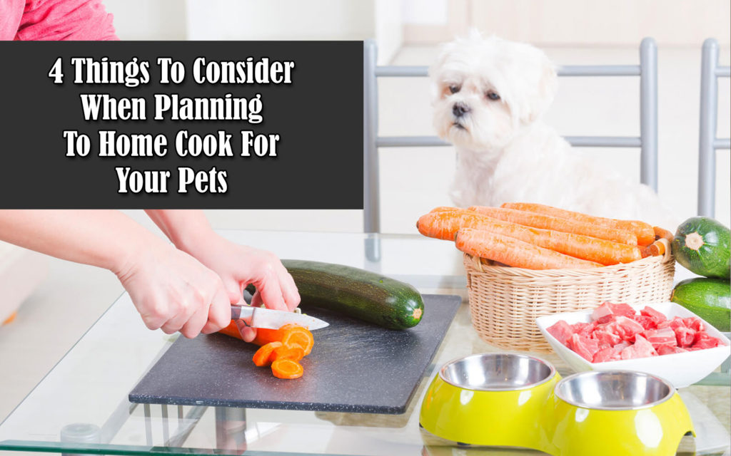 Four Things to Consider When Planning to Home Cook for Your Pets
